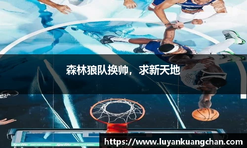 森林狼队换帅，求新天地